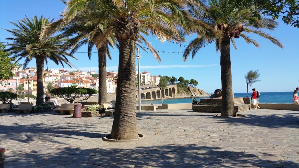 Studio "Les Roches Blanches" - Vue Mer & Vignes Banyuls-sur-Mer Exterior foto
