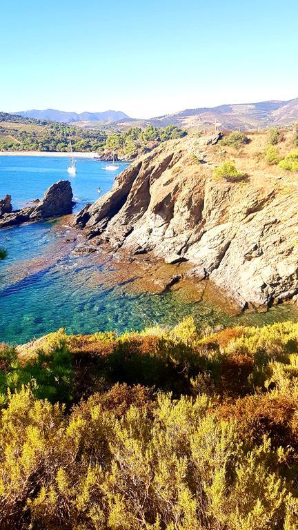 Studio "Les Roches Blanches" - Vue Mer & Vignes Banyuls-sur-Mer Exterior foto